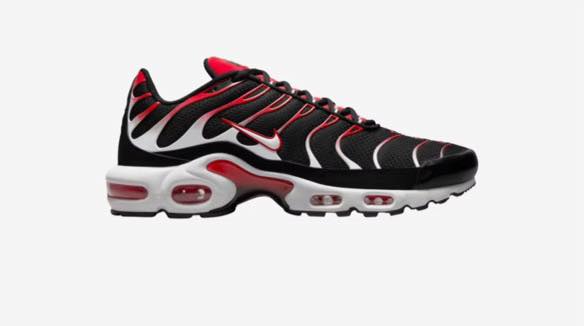 Nike Air Max plus sneakers