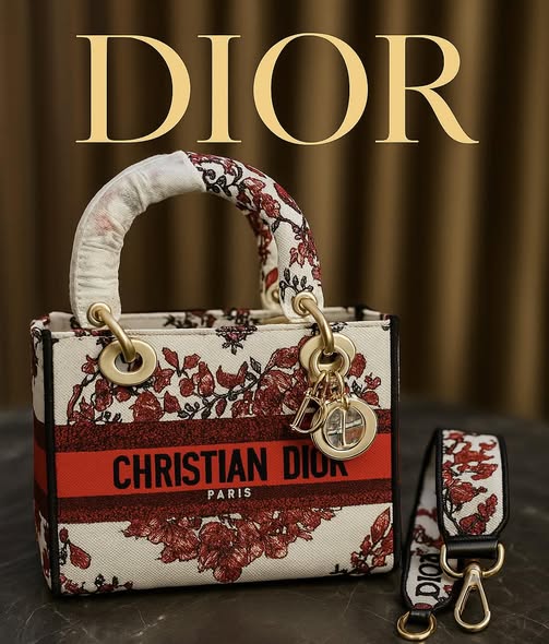 Christian Dior Medium Lady D-Lite embroidered bag